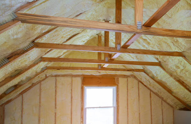 Professional Insulation Contractor in Hamilton, IN