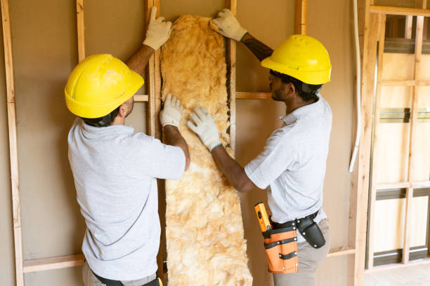 Best Residential Insulation Services  in Hamilton, IN