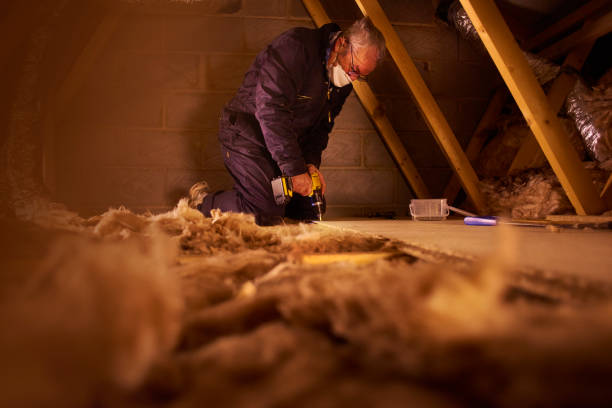 Best Insulation Removal  in Hamilton, IN